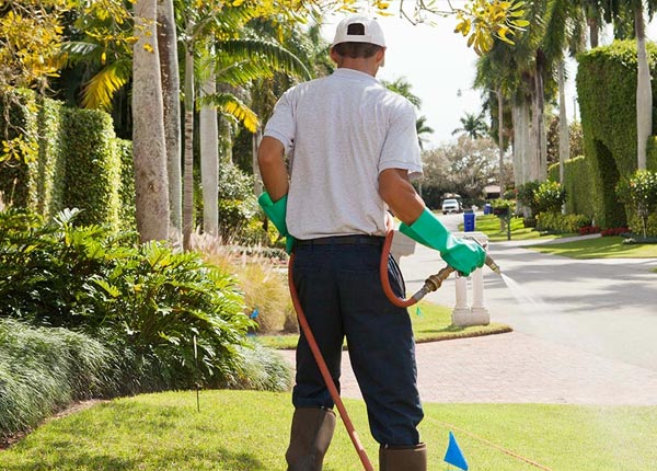 About Houck AZ Pest Control